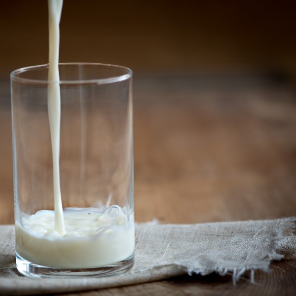 Milk Sampling Container 1